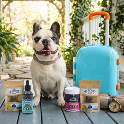 Dog Travel Essentials Bundle