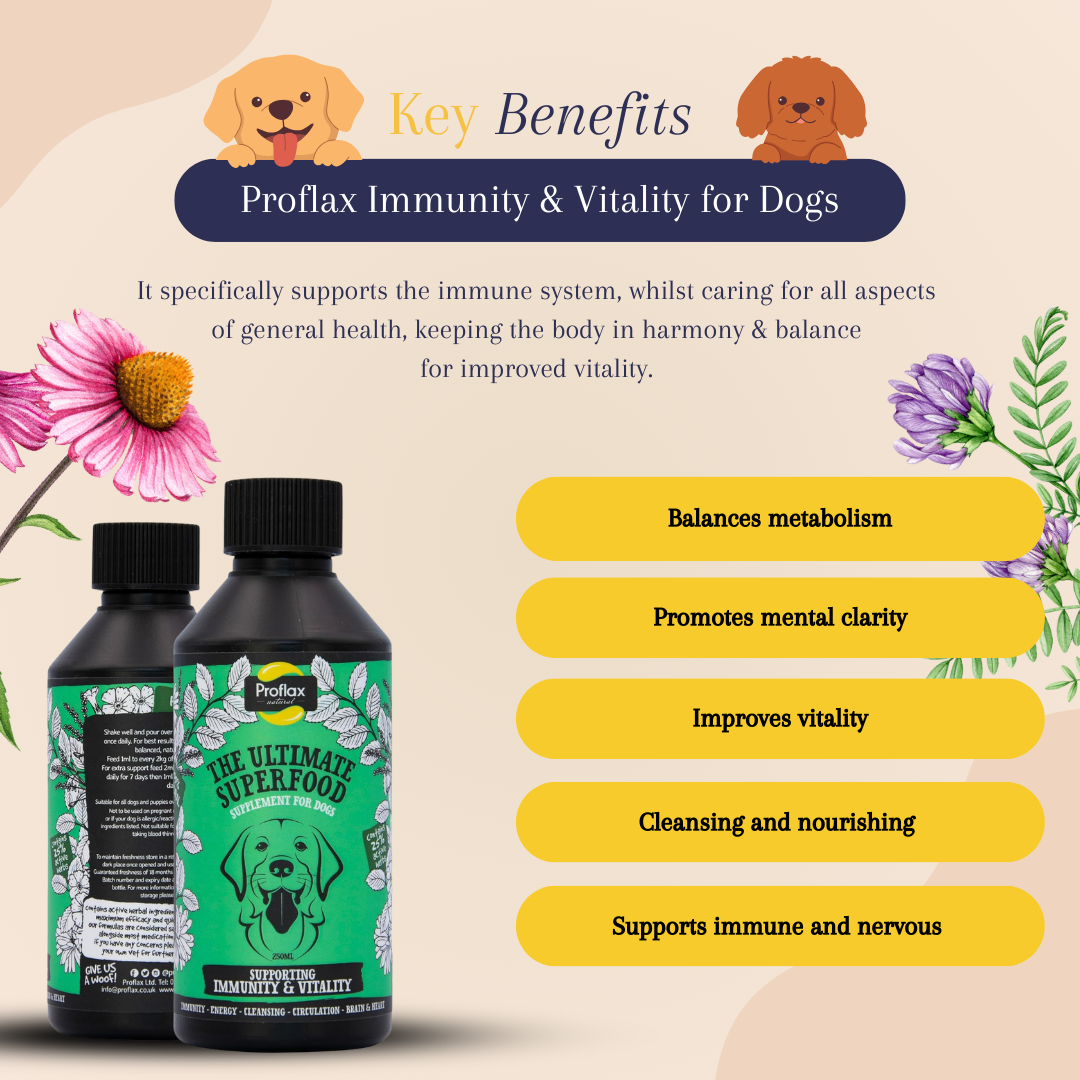 Proflax Immunity & Vitality for Dogs