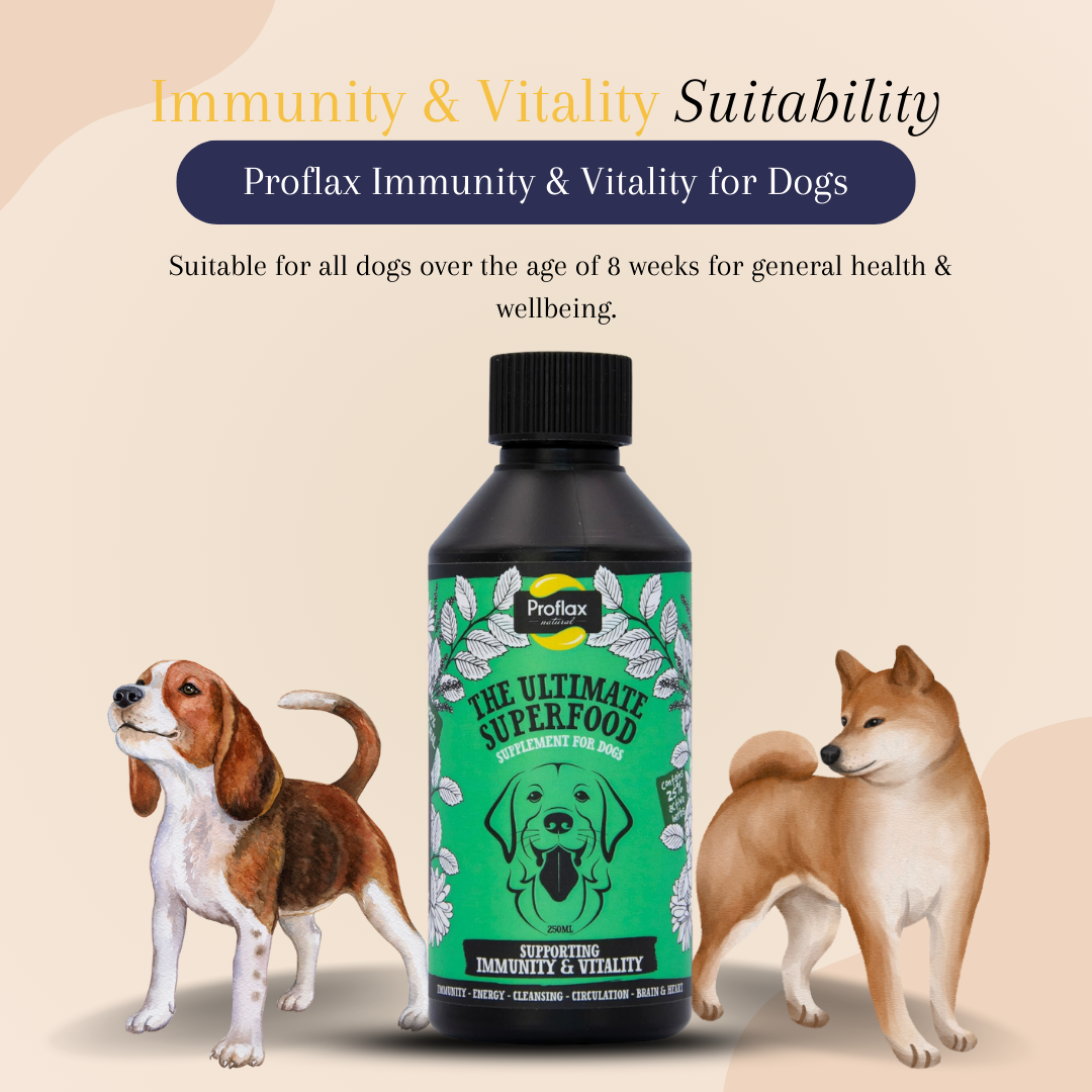 Proflax Immunity & Vitality for Dogs