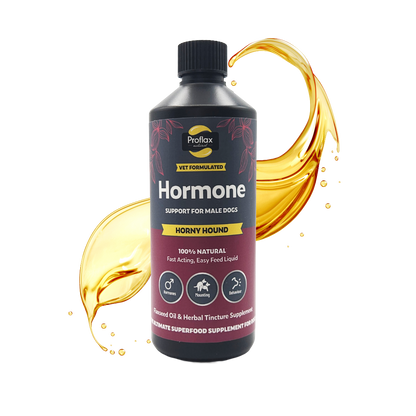 Hormone Balance for Male Dogs - Horny Hound