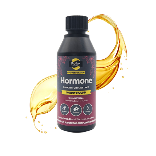 Hormone Balance for Male Dogs - Horny Hound