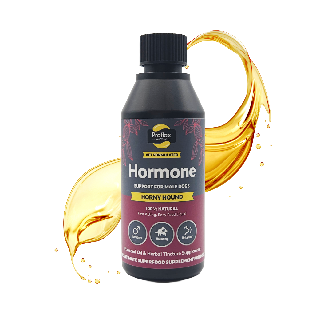 Hormone Balance for Male Dogs - Horny Hound