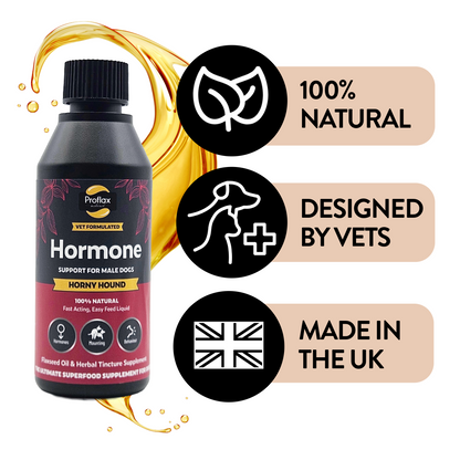 Hormone Balance for Male Dogs - Horny Hound