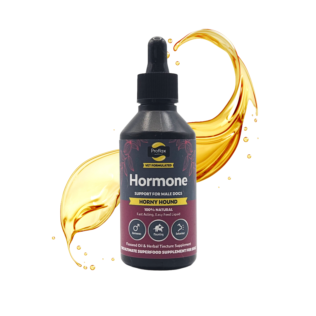 Hormone Balance for Male Dogs - Horny Hound