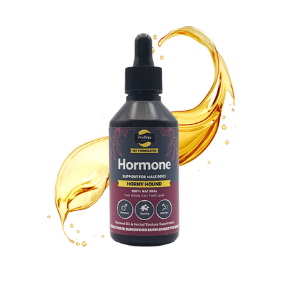 Hormone Balance for Male Dogs - Horny Hound