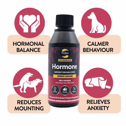 Hormone Balance for Male Dogs - Horny Hound