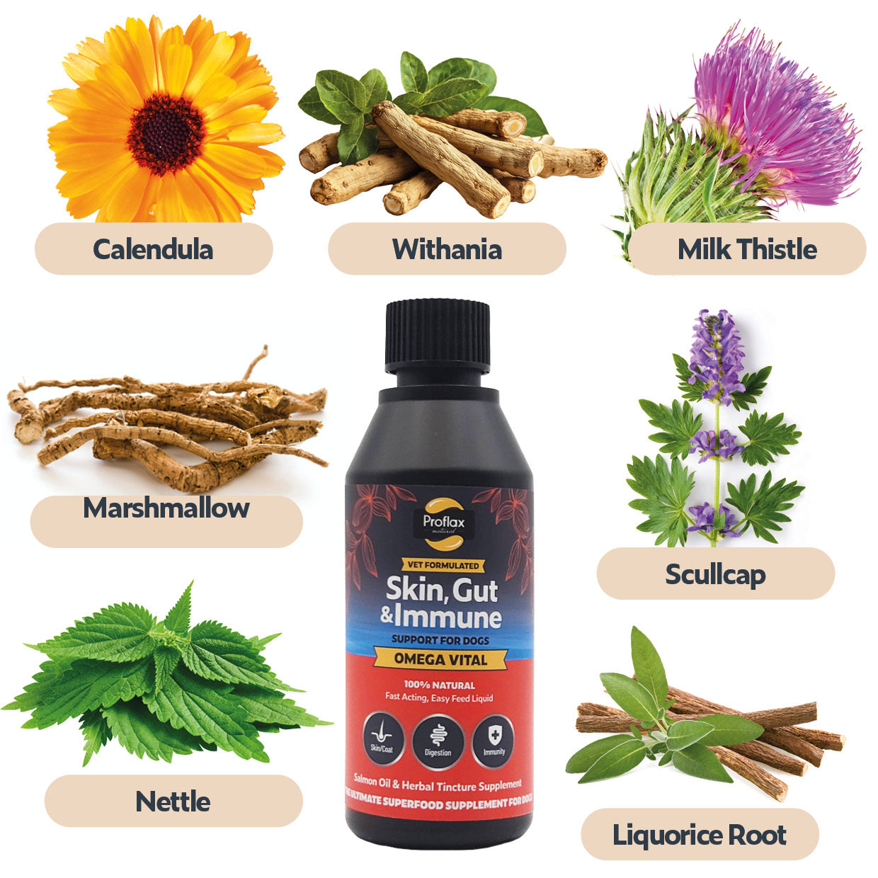 Salmon Oil for Skin & Gut Health - Omega Vital