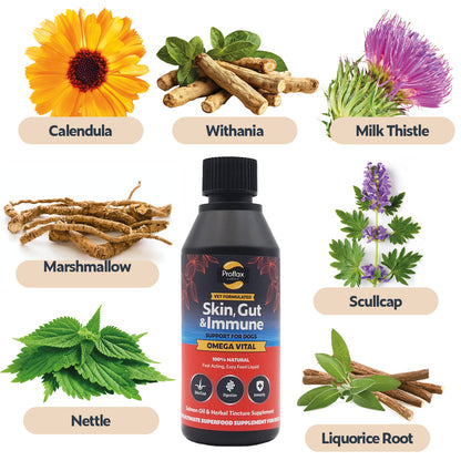 Salmon Oil for Skin & Gut Health - Omega Vital