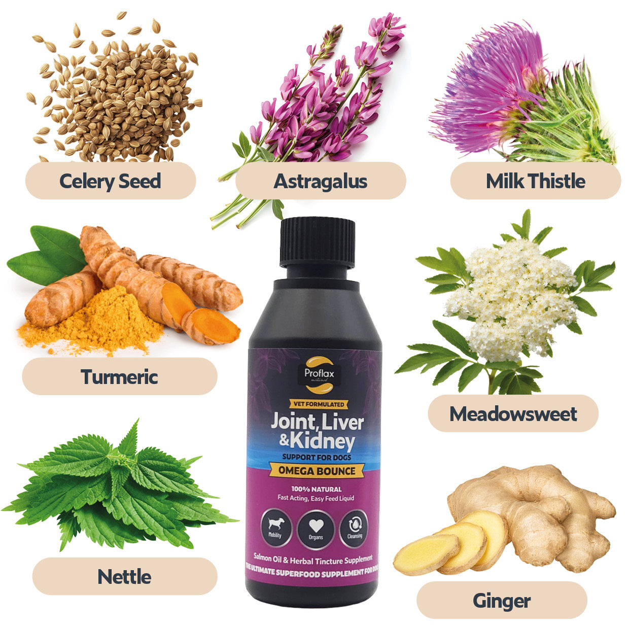 Salmon Oil for Joint & Mobility Support - Omega Bounce