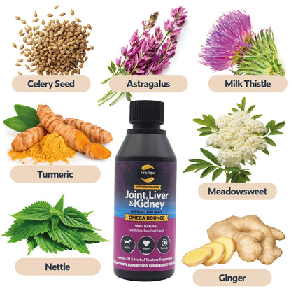 Salmon Oil for Joint & Mobility Support - Omega Bounce