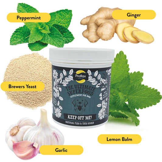 Natural Flea & Tick Support for Dogs - Keep Off Me! Powder