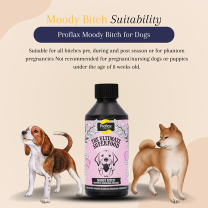 Proflax Moody Bitch for Dogs