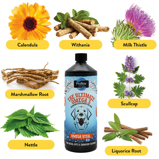 Salmon Oil for Skin & Gut Health - Omega Vital