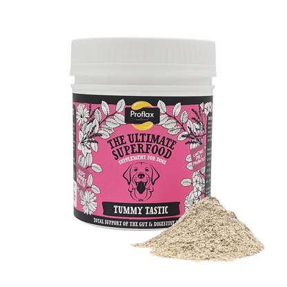 Pre & Probiotics for Dogs - Tummy Tastic
