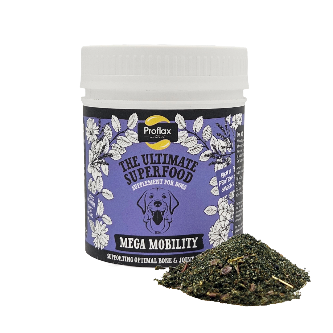 Joint & Mobility Blend for Dogs - Mega Mobility