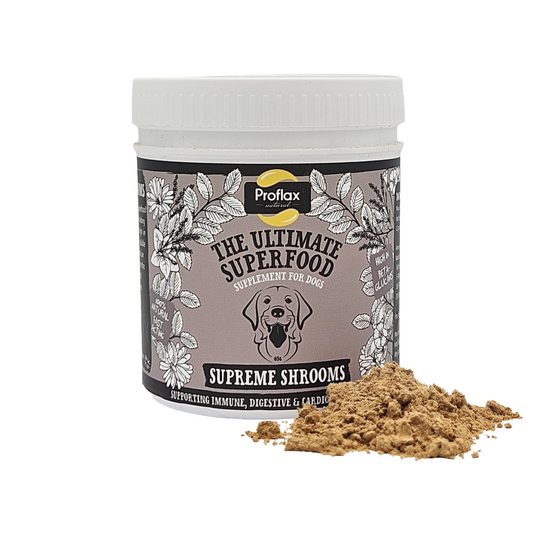Immune Support for Dogs - Supreme Shrooms