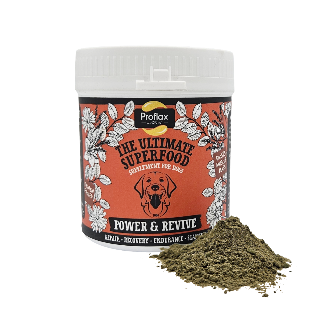 Muscle & Recovery Support for Dogs - Power & Revive