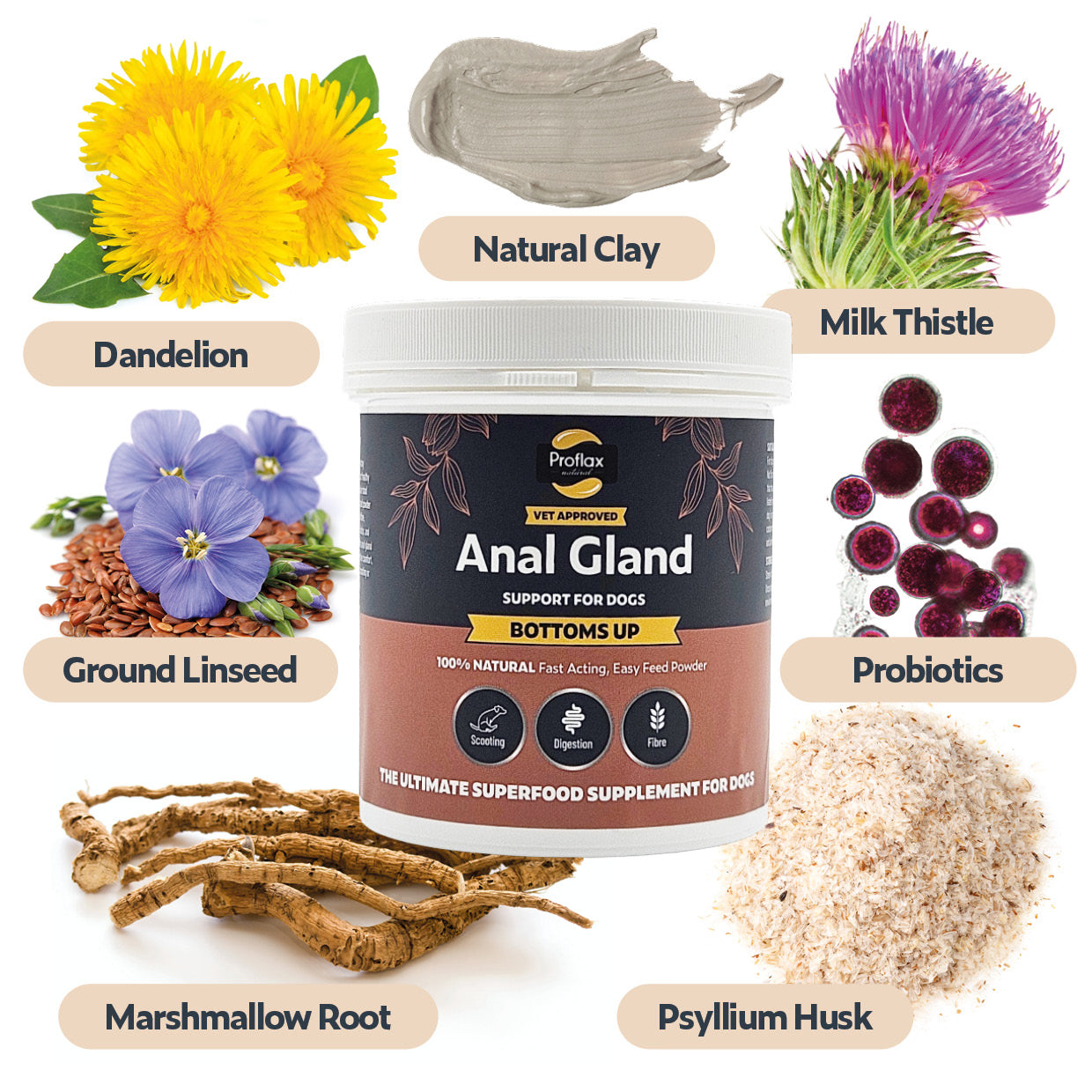 Anal Gland Support for Dogs - Bottoms Up - Proflax