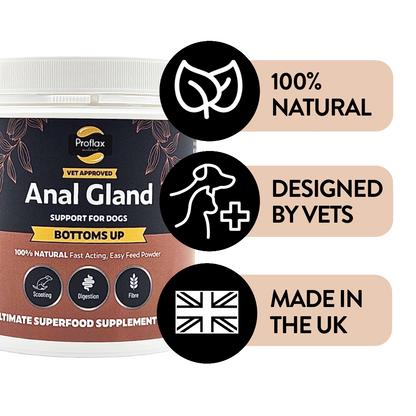 Anal Gland Support for Dogs - Bottoms Up - Proflax