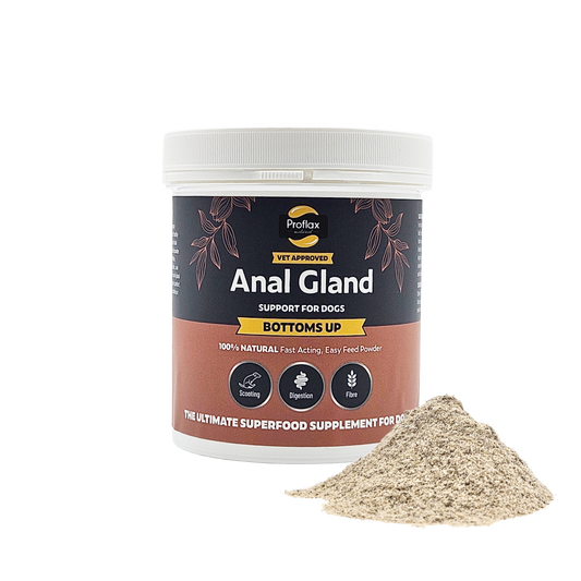 Anal Gland Support for Dogs - Bottoms Up