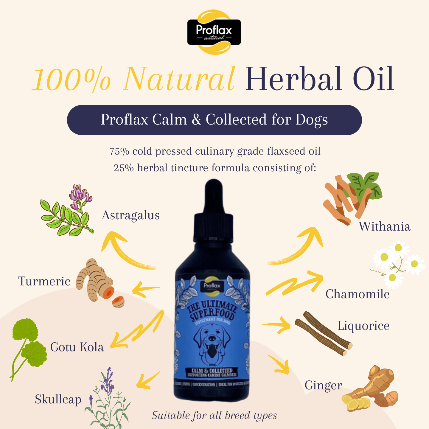 Oil to calm 2024 dogs