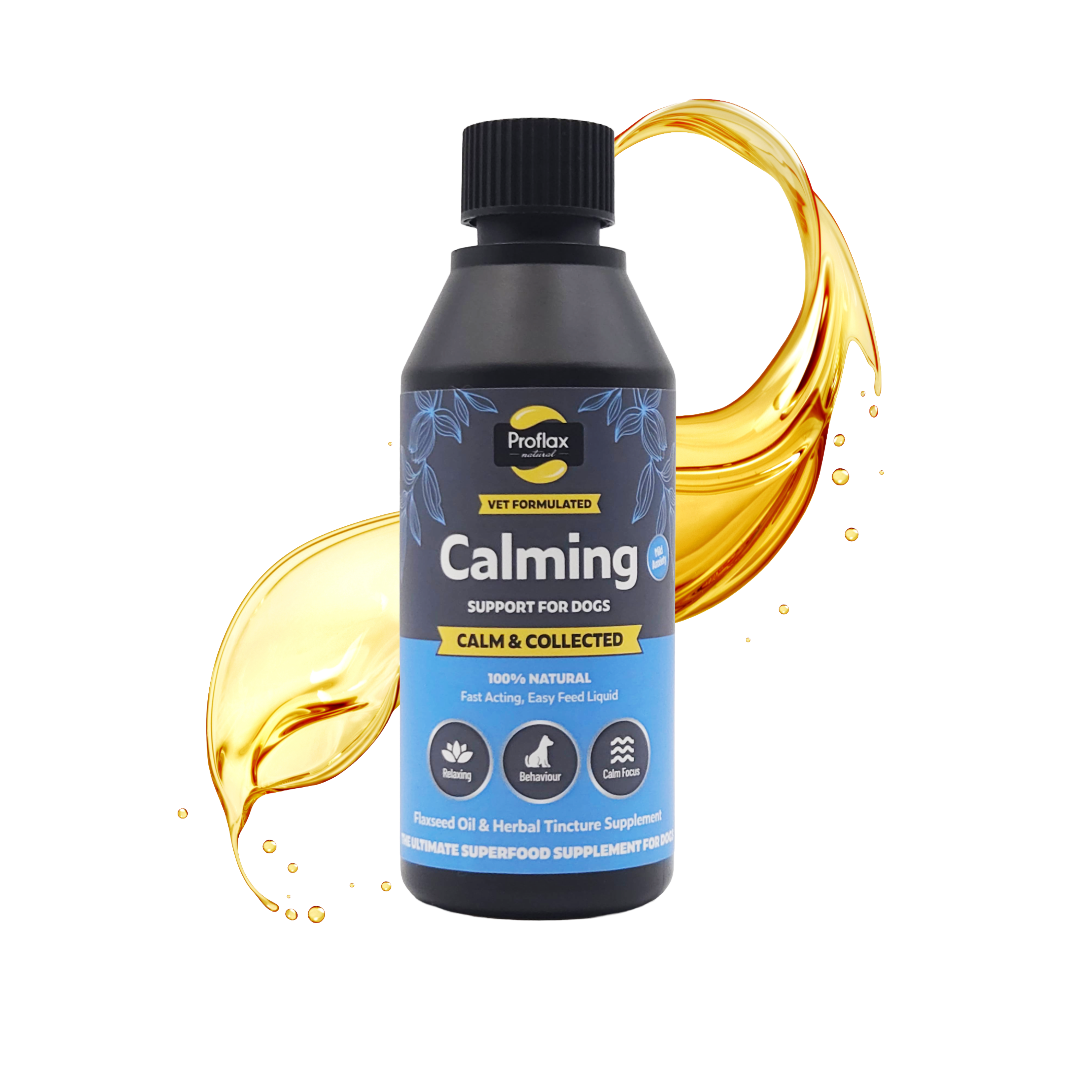 Calming Support for Mild Anxiety - Calm & Collected - Proflax