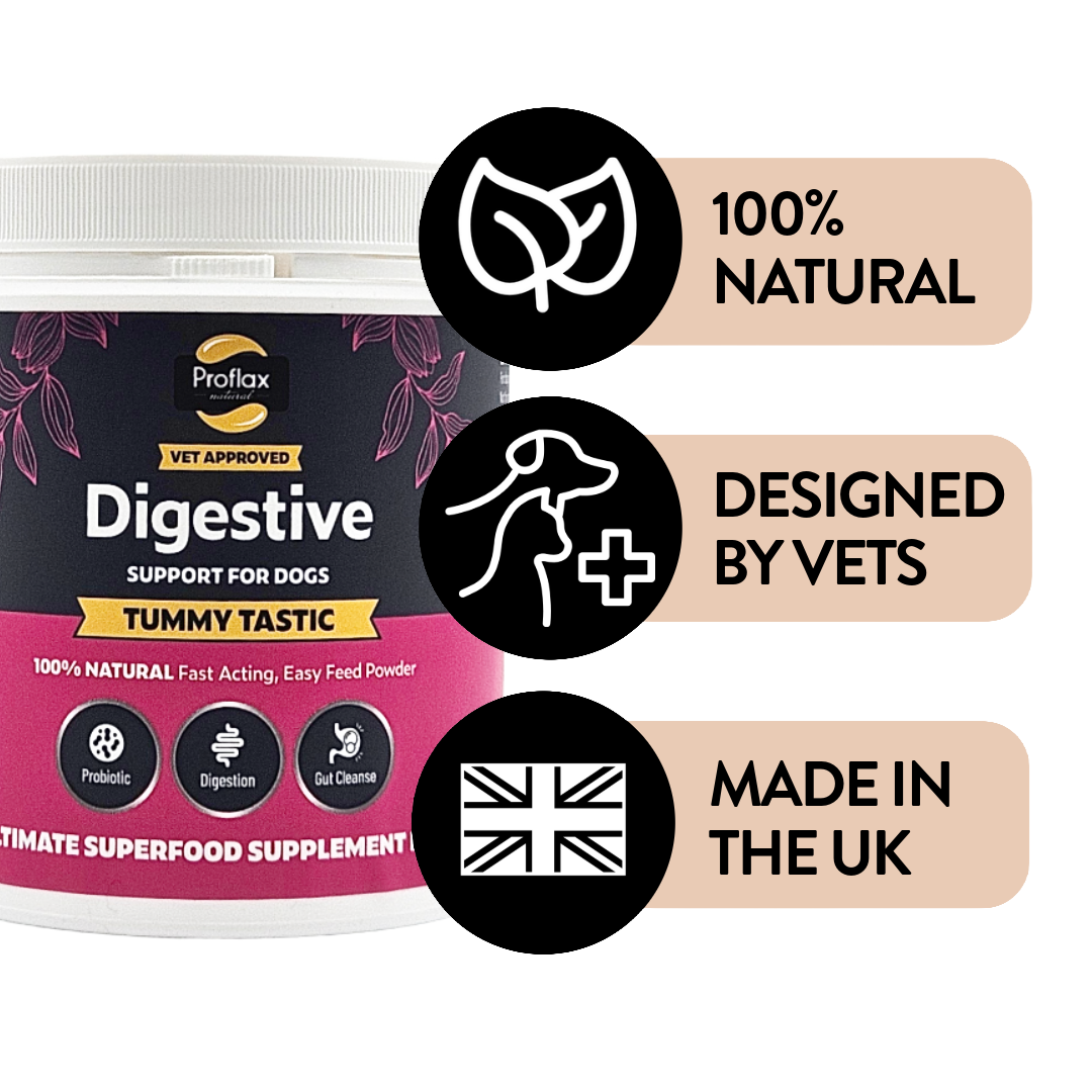 Pre & Probiotics for Dogs - Tummy Tastic