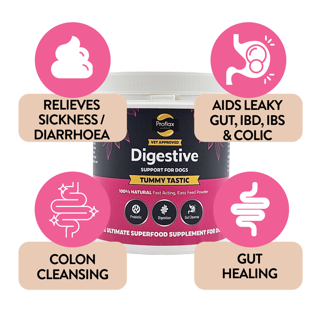 Pre & Probiotics for Dogs - Tummy Tastic
