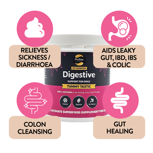 Pre & Probiotics for Dogs - Tummy Tastic