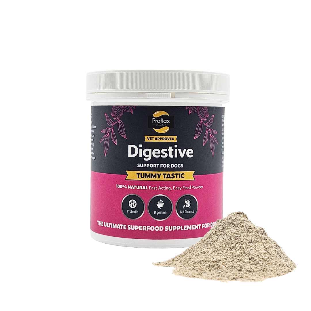 Pre & Probiotics for Dogs - Tummy Tastic - Proflax