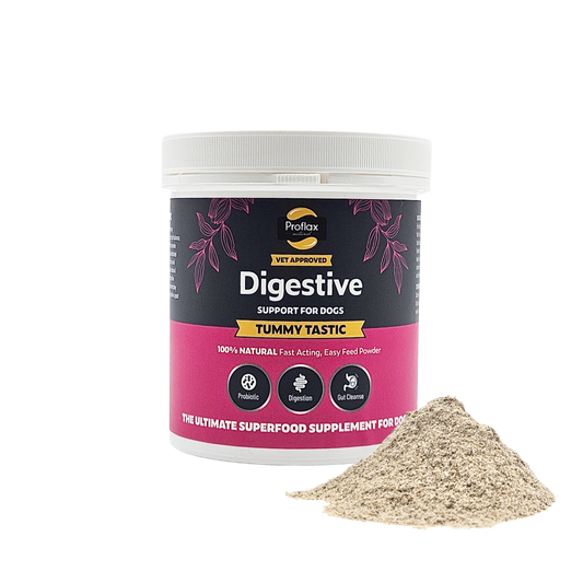 Pre & Probiotics for Dogs - Tummy Tastic