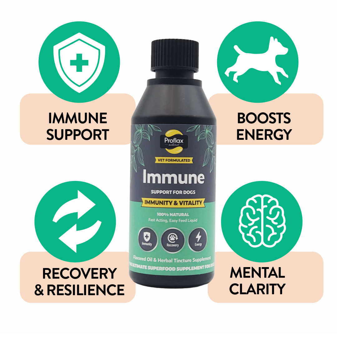 Immune & Energy Support for Dogs - Proflax