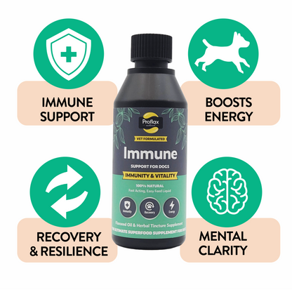 Immune & Energy Support for Dogs - Proflax