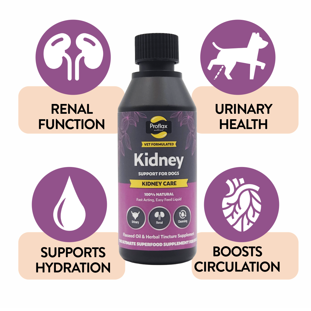 Kidney & Urinary Support for Dogs - Kidney Care - Proflax