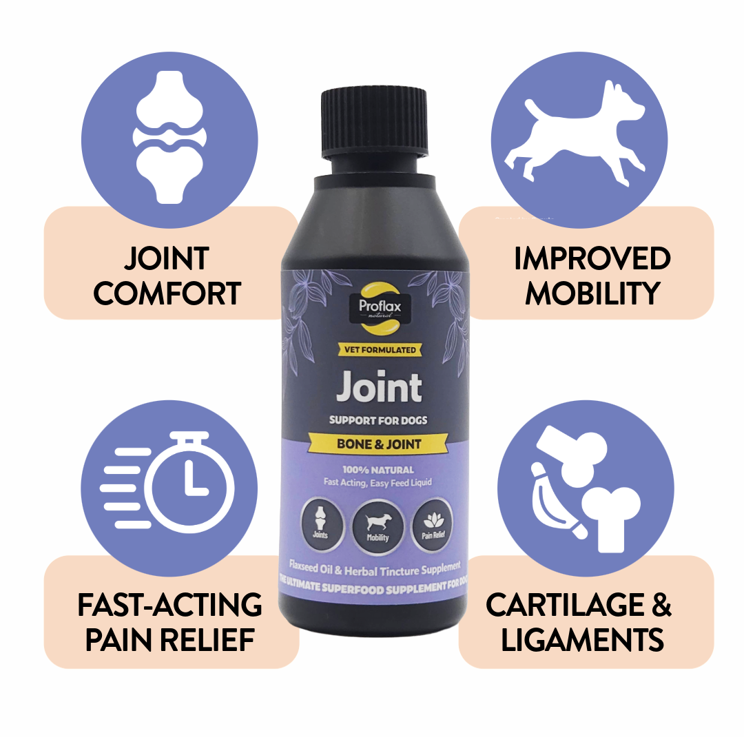 Bone, Joint & Mobility Support for Dogs - Proflax