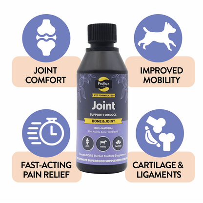 Bone, Joint & Mobility Support for Dogs - Proflax