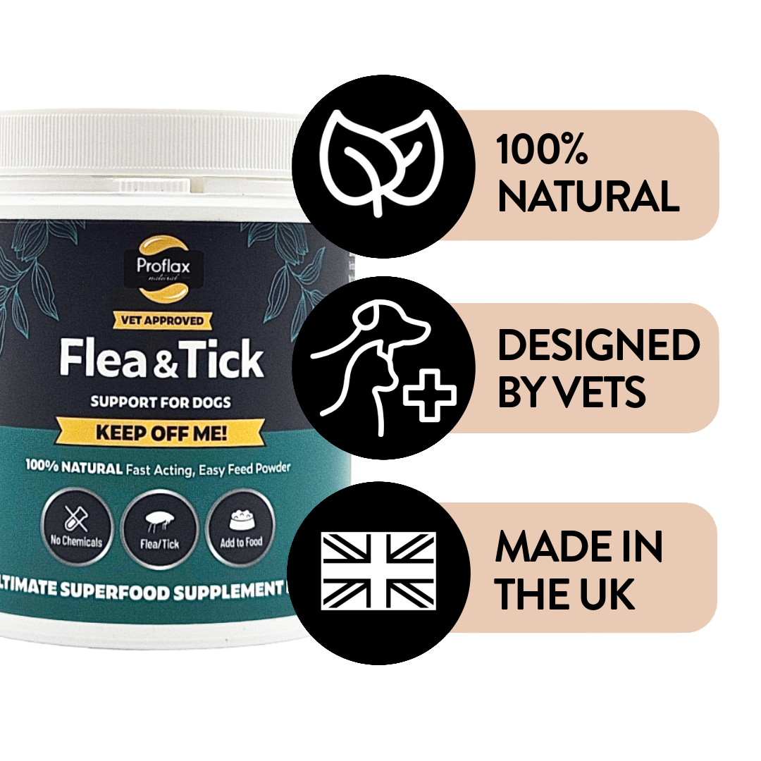 Natural Flea & Tick Support for Dogs - Keep Off Me! Powder - Proflax