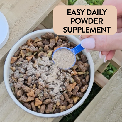 Natural Flea & Tick Support for Dogs - Keep Off Me! Powder - Proflax