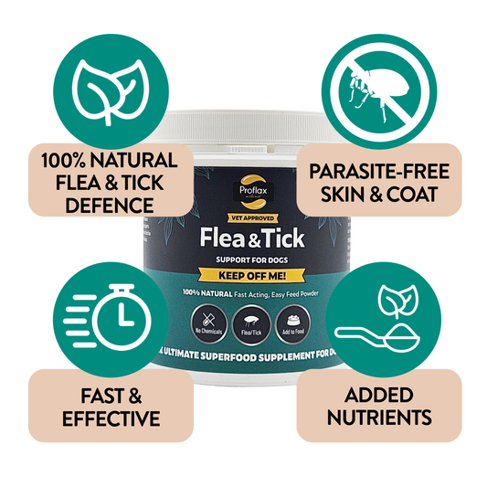 Natural Flea & Tick Support for Dogs - Keep Off Me! Powder