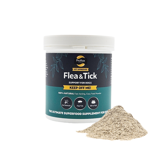 Natural Flea & Tick Support for Dogs - Keep Off Me! Powder