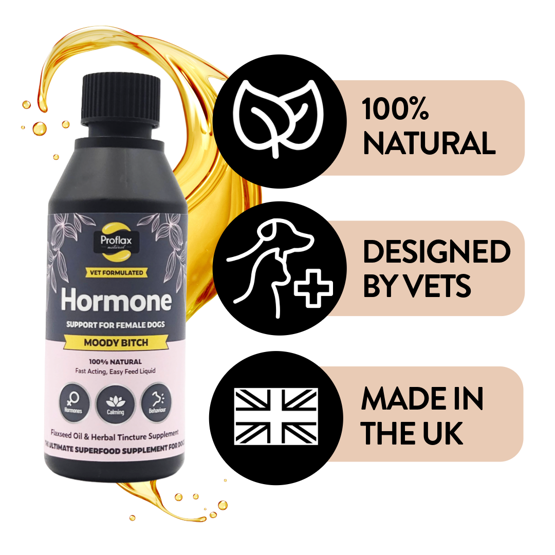 Hormonal Relief for Female Dogs - Moody Bitch