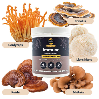 Immune Support for Dogs - Supreme Shrooms