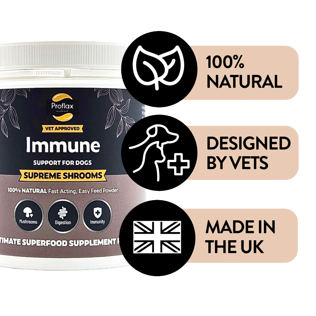 Immune Support for Dogs - Supreme Shrooms