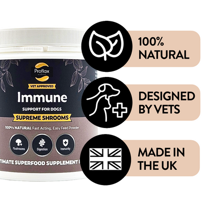 Immune Support for Dogs - Supreme Shrooms
