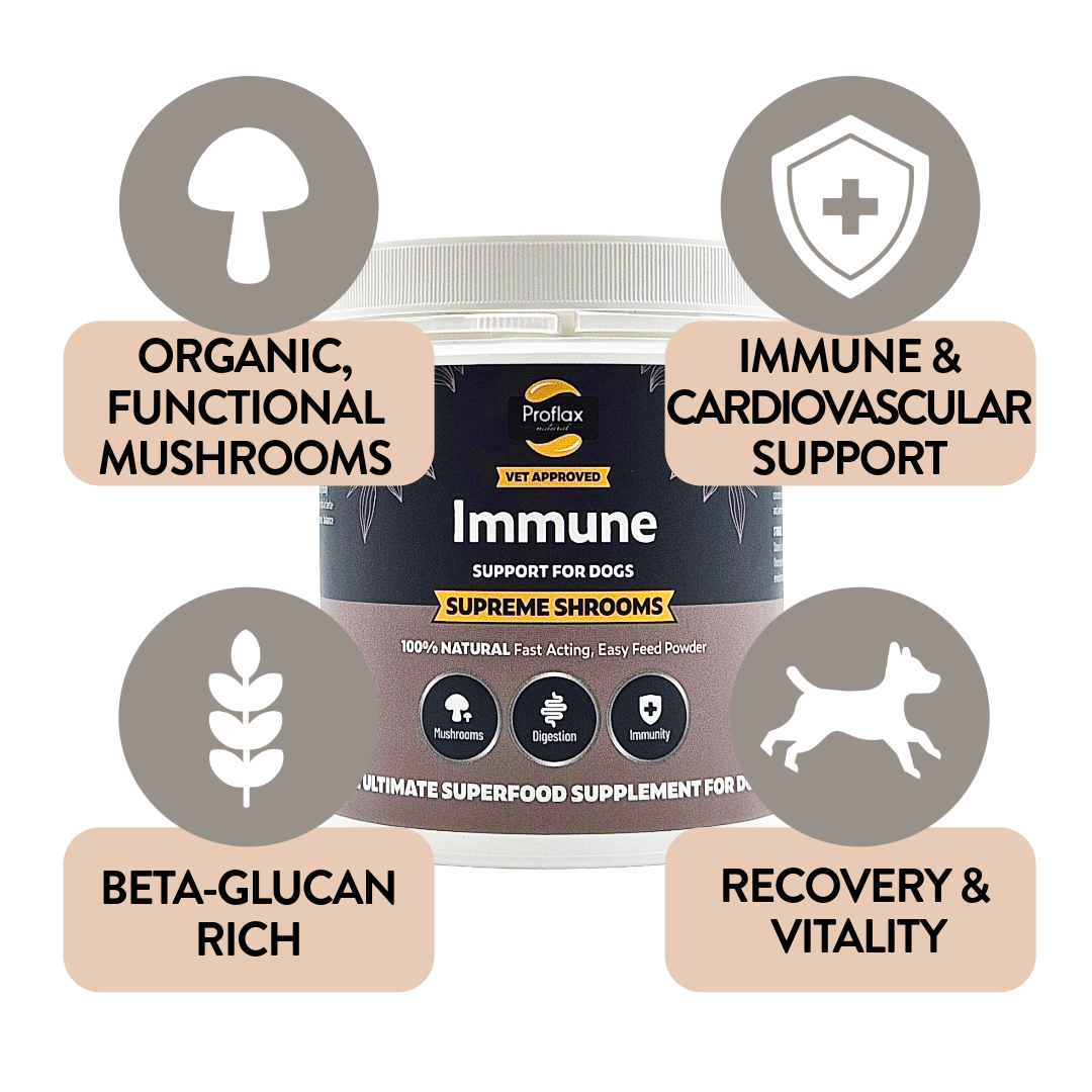 Immune Support for Dogs - Supreme Shrooms