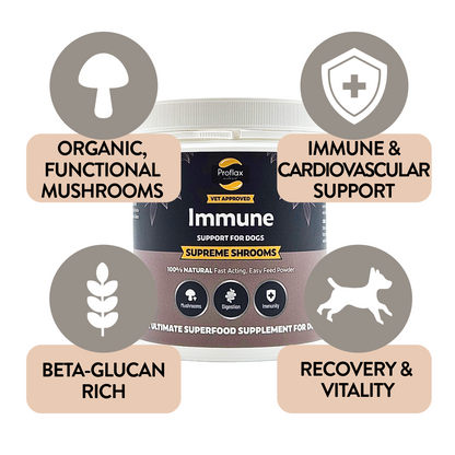 Immune Support for Dogs - Supreme Shrooms