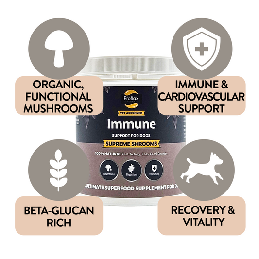 Immune Support for Dogs - Supreme Shrooms