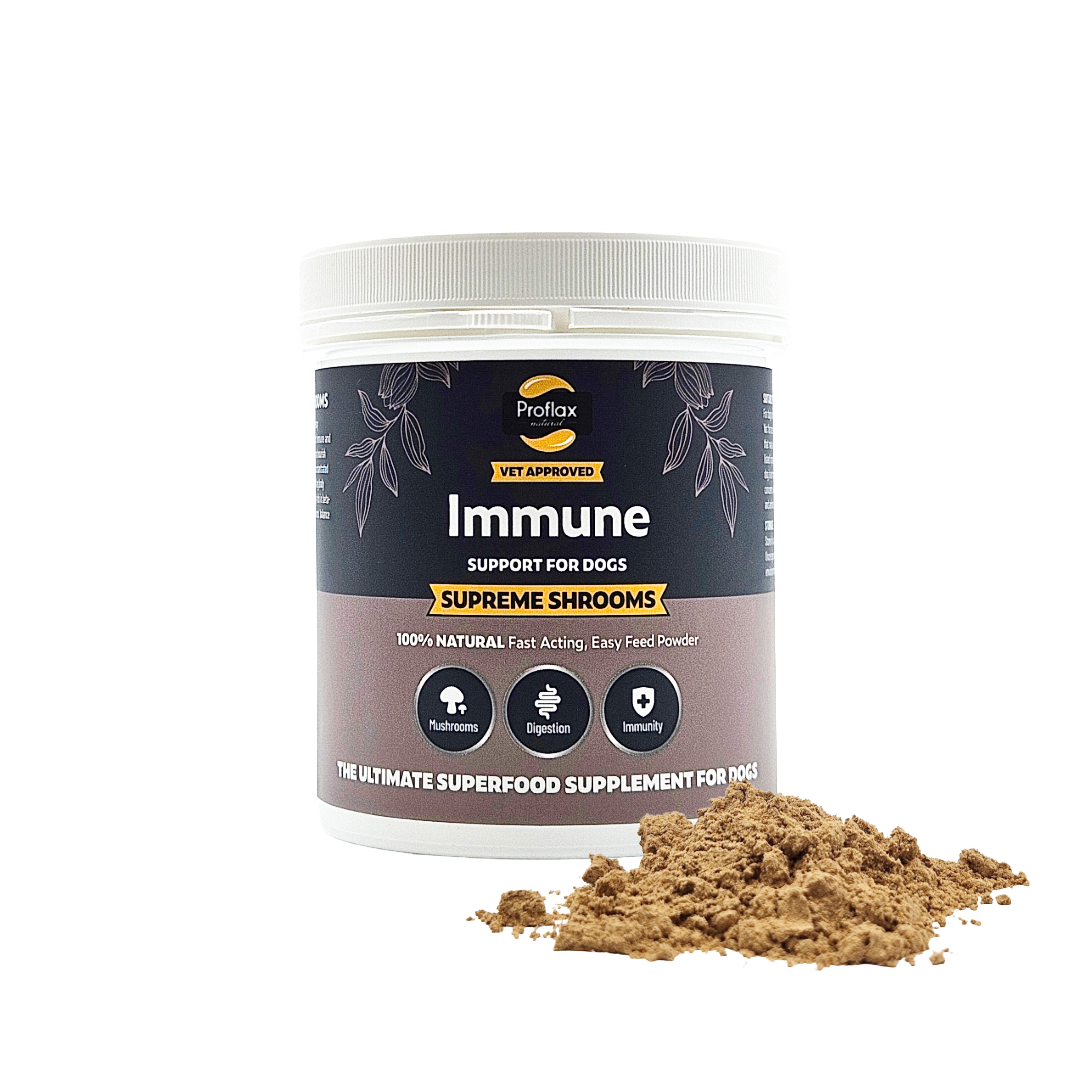 Immune Support for Dogs - Supreme Shrooms