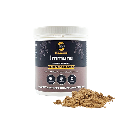 Immune Support for Dogs - Supreme Shrooms