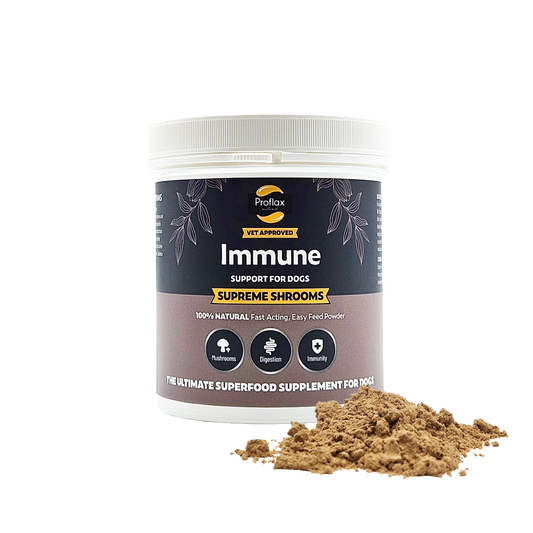 Immune Support for Dogs - Supreme Shrooms